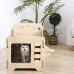 Pet Bunk Bed for Small Cats