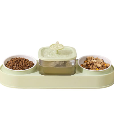 TaraPet Double Bowl Elevating Pet Food Container With Automatic Water Fountain Feeder (Green)