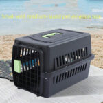 Cats & Puppies (Black)