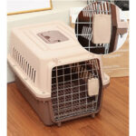 Cats & Puppies (Gray-Black)