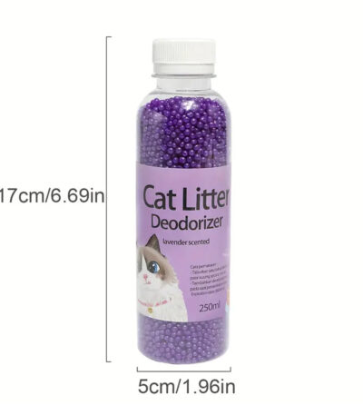 Kitten Toilet Artifact