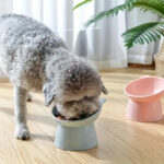 non slip plastic dog and cat food/water bowl (Turquoise)