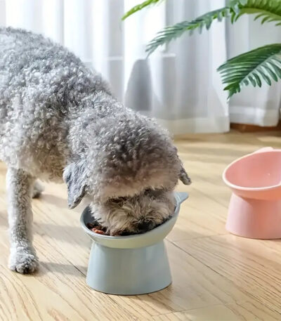 non slip plastic dog and cat food/water bowl (Turquoise)