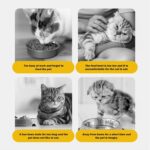 Dry Food Bowl and Watering Supplies Dispenser for Indoor Small Medium Cats (Yellow)