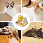 Pet Food Storage