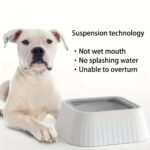 Feeding Bowls for Dogs (Yellow)
