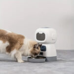 Auto Dry Cat Food Dispenser with Dual Power Supply