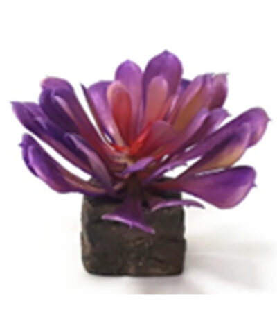 Tankii Aquarium Artificial Plant Flora Stone 7