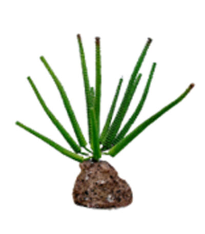 Tankii Aquarium Artificial Plant Flora Stone 10