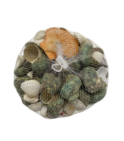 Tankii Aquarium Decor Ornament Sea Shells