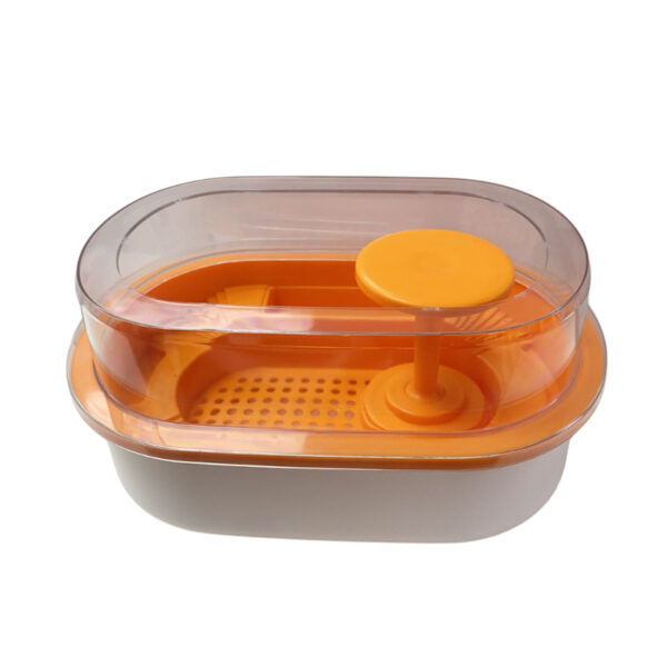 Tankii Terrarium Tank