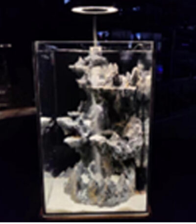 Tankii Aquarium Aquascaping Tank 5 20x20x32cm