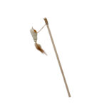 TaraPet Teaser Cat Toy Wooden with Tray & Feather Interactive Wand (Option 3)