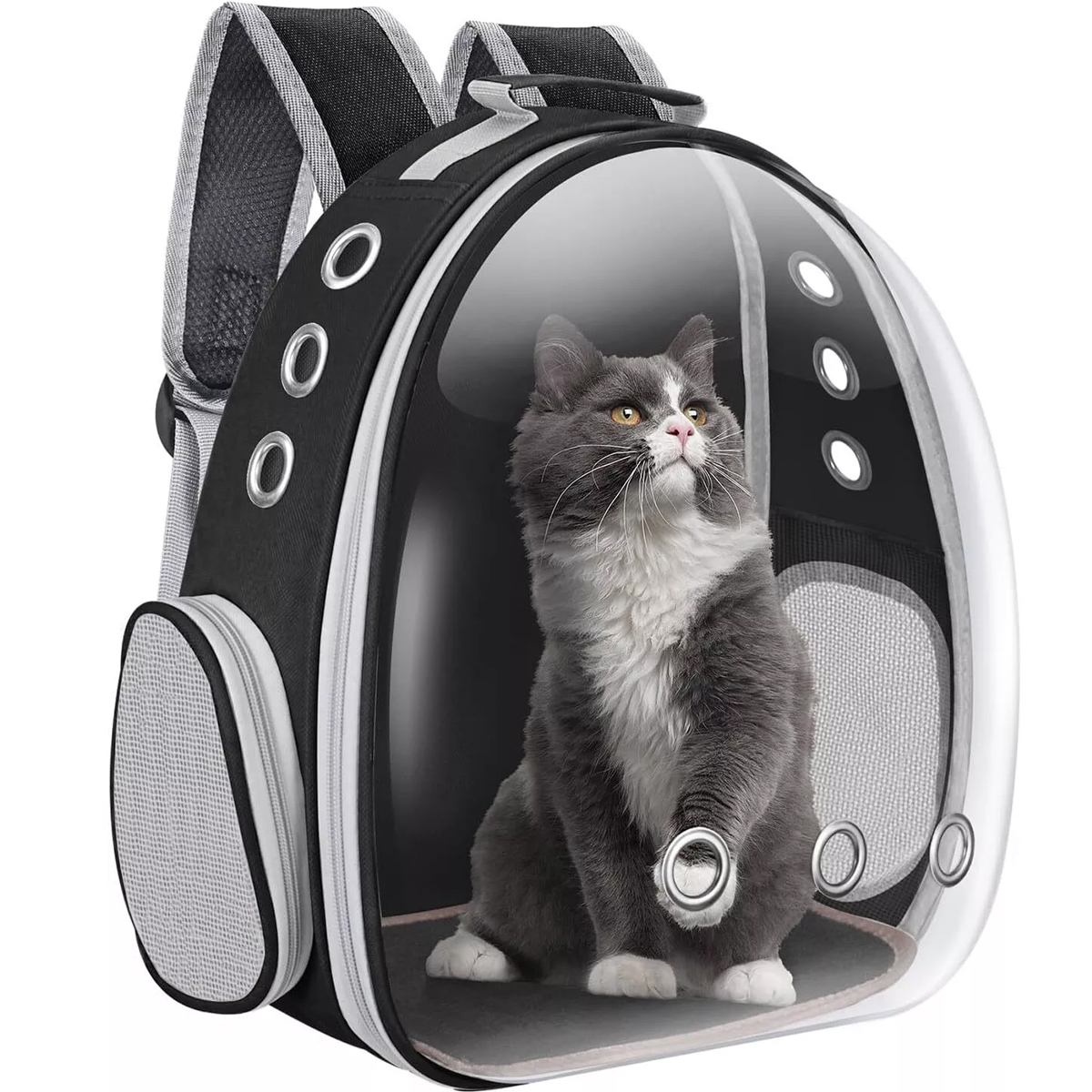 TaraPet Transparent Portable Pet Backpack Travel Carrier TaraPet Transparent Portable Pet Backpack Travel Carrier