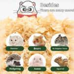 Safe And Odorless Pet Bedding 1kg