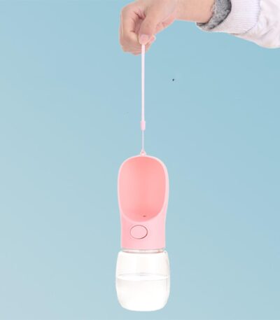 Portable Water Bottle
