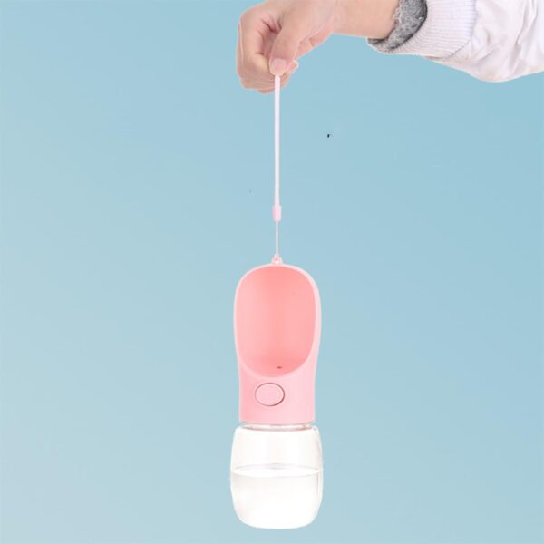 Portable Water Bottle