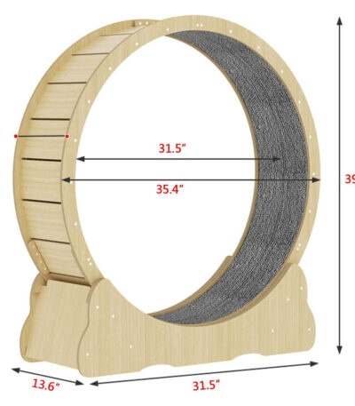 Promotes Physical Activity and Reduces Boredom