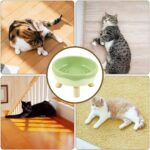 Easy to Clean (Yellow)