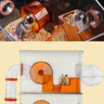 Gerbils