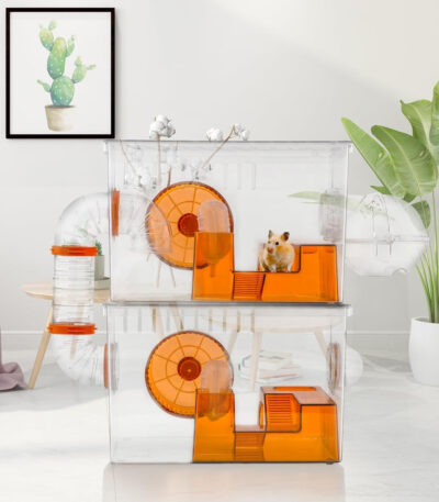 Spacious Habitat for Hamsters