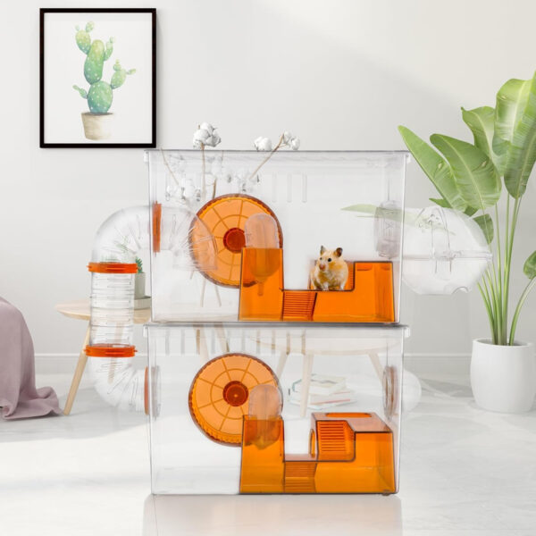 Spacious Habitat for Hamsters