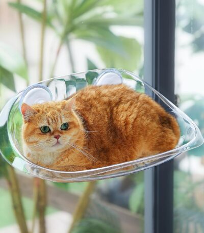 Solid Cat Window Bed for Cats and Kittens