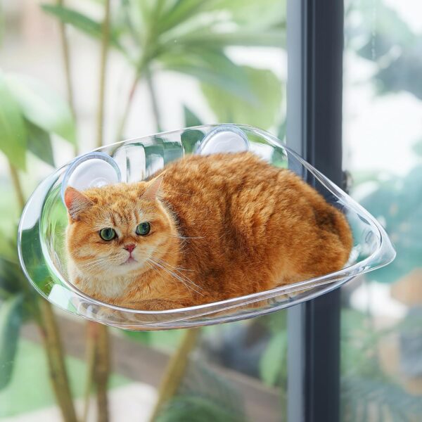 Solid Cat Window Bed for Cats and Kittens