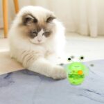 Food Dispenser Toys for Pets