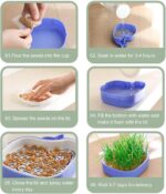Soilless Planter for Hydroponics Cat Grass (Blue)