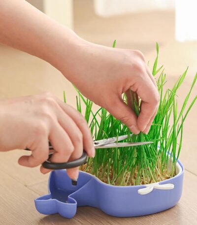 Layered Design Cat Graft Pot in Whale Shape