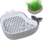 Layered Design Cat Graft Pot in Whale Shape