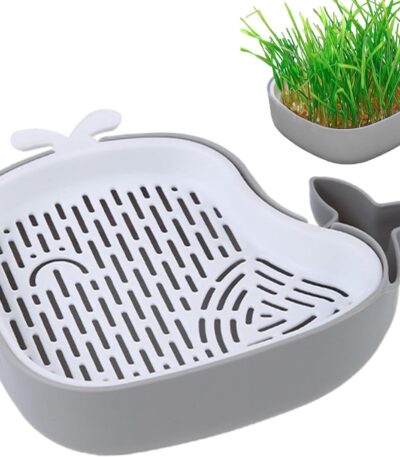 Layered Design Cat Graft Pot in Whale Shape