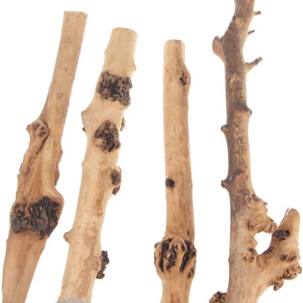 Tankii Natural Forest Branch for Terrarium Wood Aquarium Ornament and Landscaping Aquarium / 1Kg